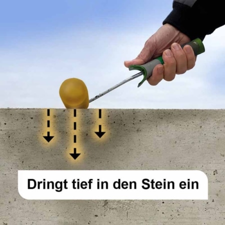 dringt_tief_in_Stein_ein