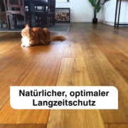 Tec Oil Color Premium Natural Naturfarben Natuerlicher optimaler Langzeitschutz
