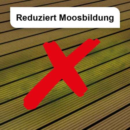 WPC & BPC Imprägnieröl & Pflegeöl Natural Naturfarben Reduziert_Moosbildung_natural_naturfarben