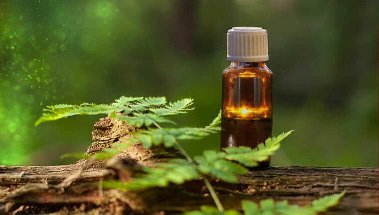 Rohstoffkunde Natural Naturfarben Rohstoffkunde Natural Naturfarben