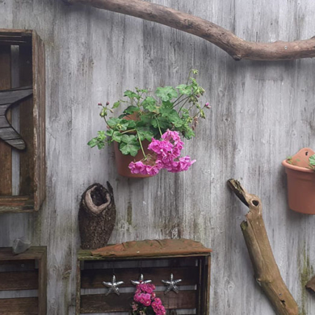 Holzentgrauer-Beispiel: Dekorative Gartenwand in Shabby Chic Optik Graue, verwitterte Holzwand im Shabby Chic Stil mit pinken Geranien