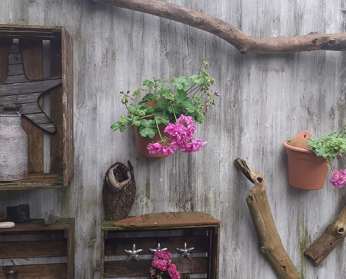 Holzentgrauer-Beispiel: Dekorative Gartenwand in Shabby Chic Optik Graue, verwitterte Holzwand im Shabby Chic Stil mit pinken Geranien