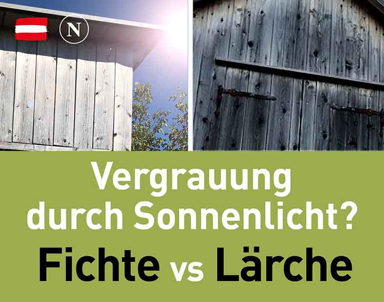 Vergraut Fichtenholz durch Sonnenlicht eher in ein helles Grau oder in ein dunkles Grau? Natural Naturfarben natural naturfarben Vergrauung durch Sonnenlicht - Natural Naturfarben