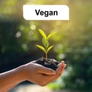 Vegan_natural_naturfarben