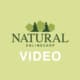 Video: Holz restaurieren - Tipps vom Profi Natural Naturfarben Video Vorschaubild Naturalfarben - Natural Naturfarben