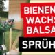 Video: Natural Bienenwachsbalsam anwenden mit Sprühsystem Natural Naturfarben 5f fkUudweQ - Natural Naturfarben